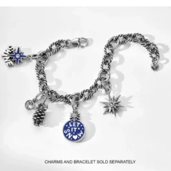 Snow Flurry Charm -Moonlink Jewelry Shop snow flurry charm silver blue 2 08f70210 cb1e 45c2 9201 fb6d02e650be